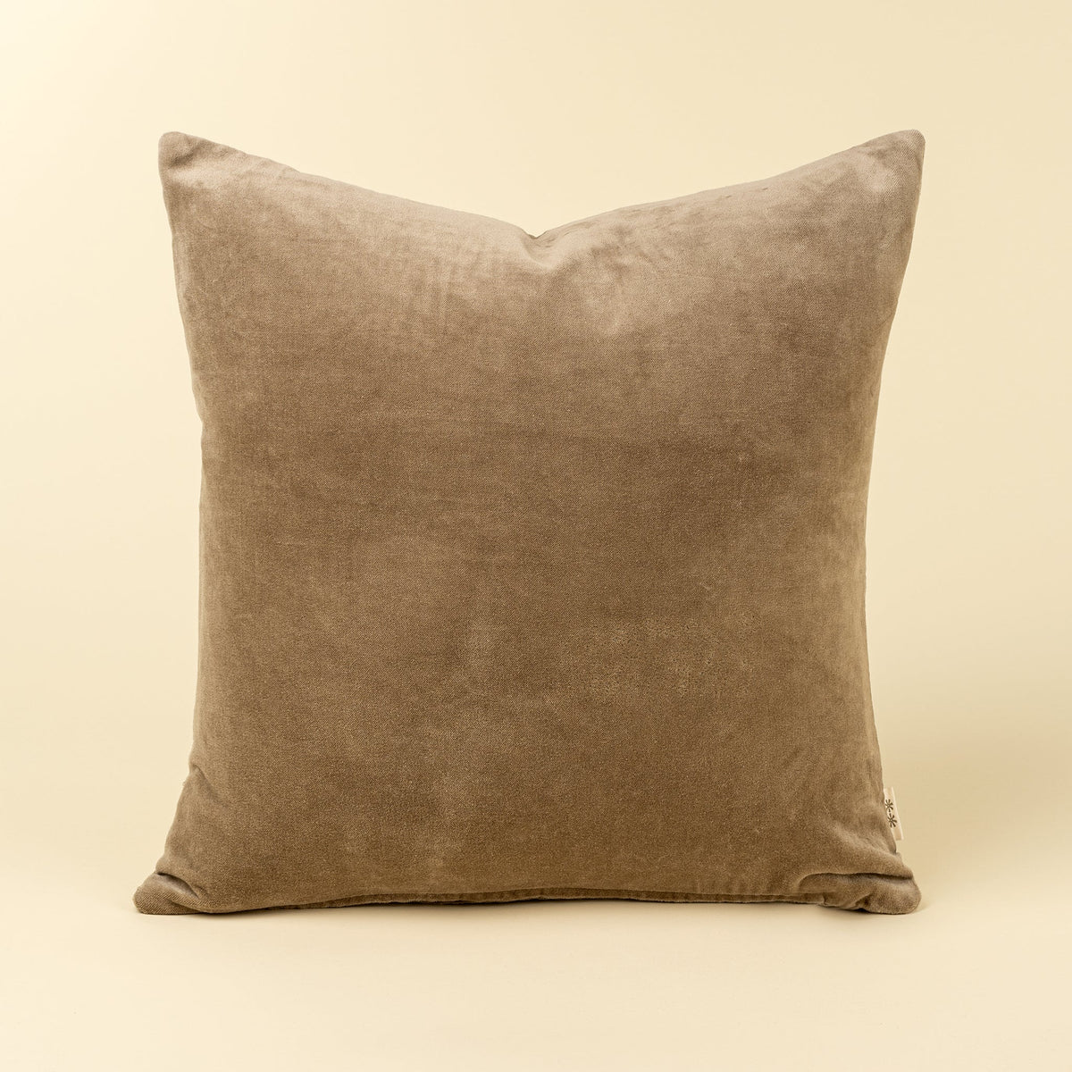 Vera Velvet Luxe Pillows