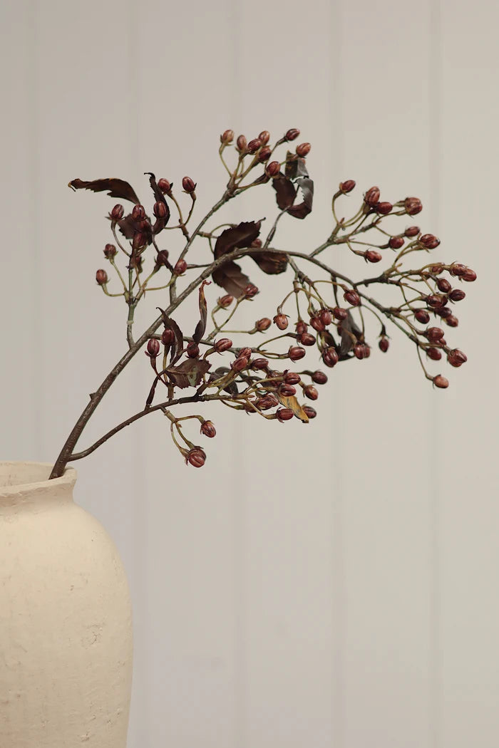 Hypericum Berry Spray