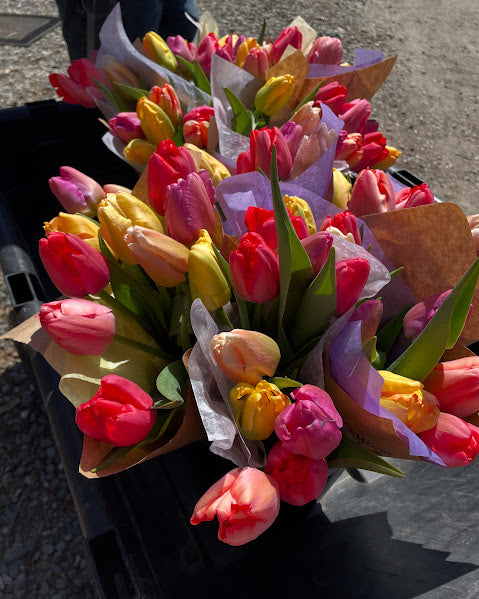 Mom's Day Tulip Bouquet Pre-Order