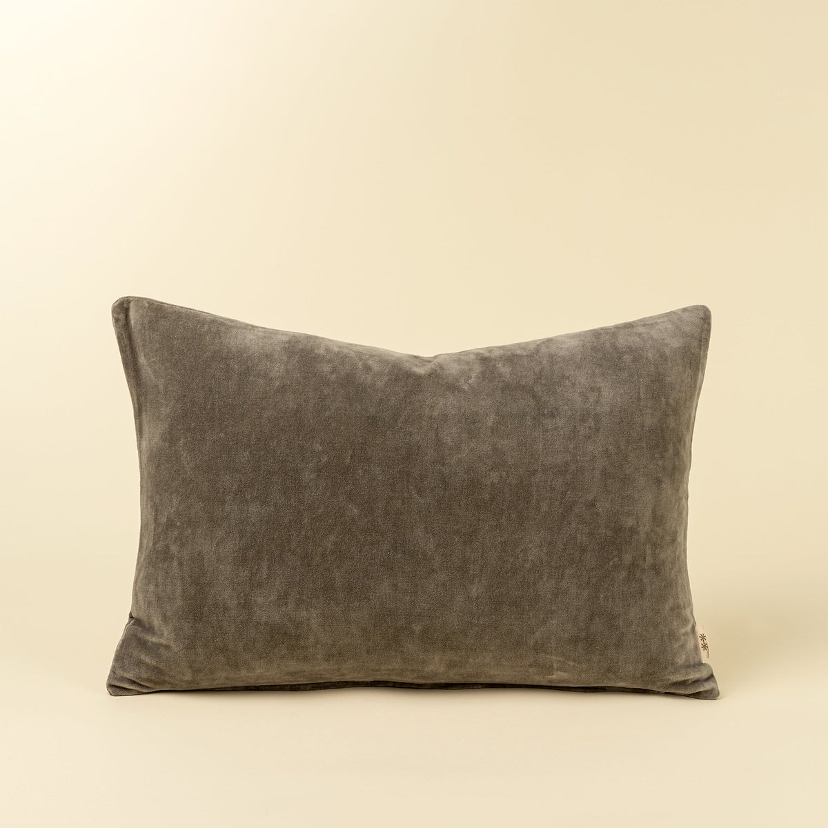 Vera Velvet Luxe Pillows