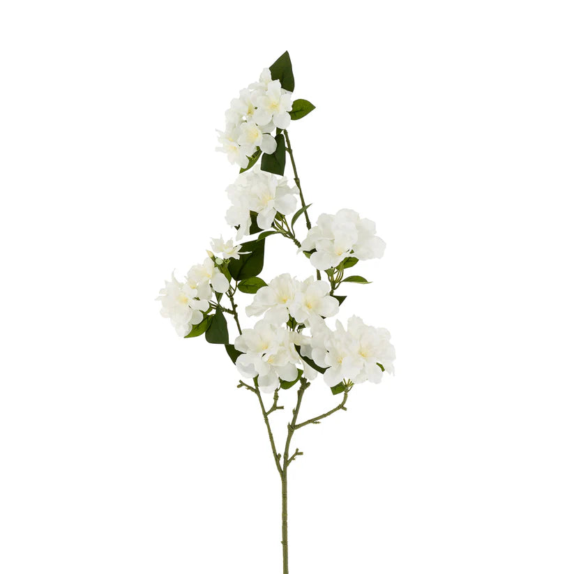 Flowering Cherry Blossom Everlasting Branch