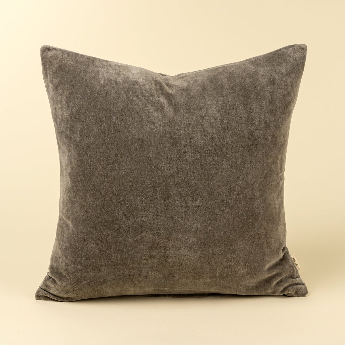 Vera Velvet Luxe Pillows