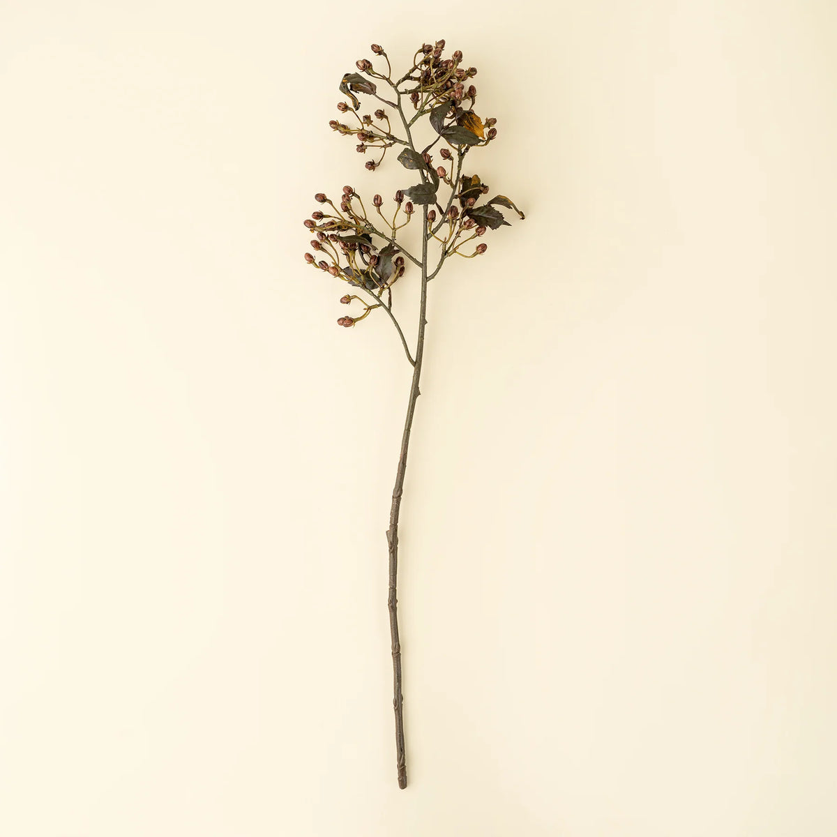 Hypericum Berry Spray