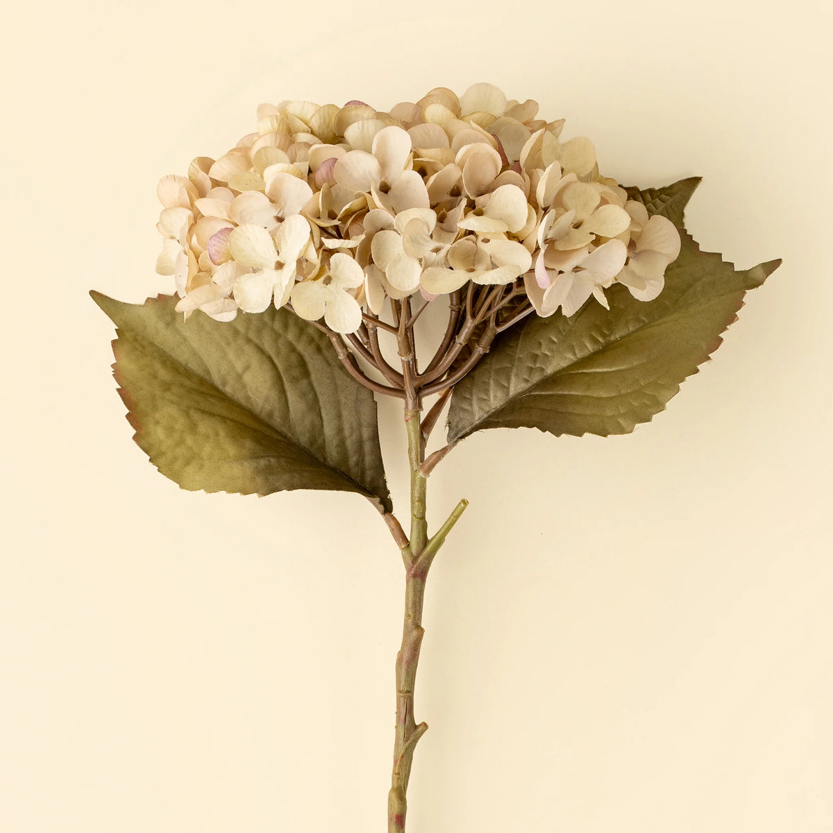 Heirloom Hydrangea Stem White