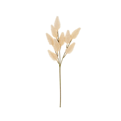 Bunny Tail Spray Everlasting Stem