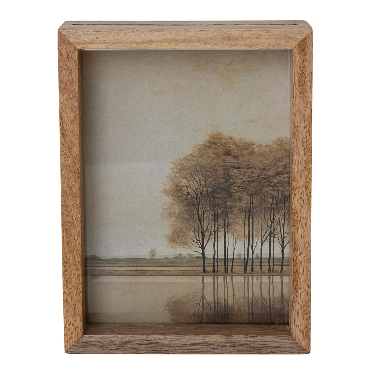 Mango Wood Floating Frames