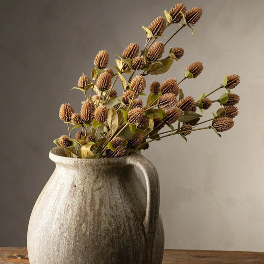 Globe Amaranth Everlasting Stem