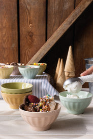 Flora Ice Cream Bowl Set